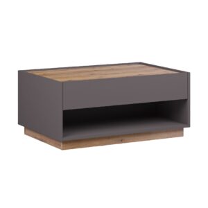 Τραπέζι σαλονιού TREVISO γκρι/ artisan 90x60x40